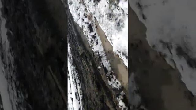 Тот же кедровый бакчар смотреть онлайн