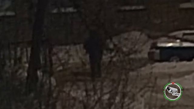 Выпил да ещё и когда мозгов нет, беда! смотреть онлайн