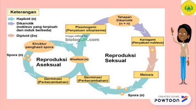 Mikrobiologi Farmasi 2 -Fungi смотреть онлайн