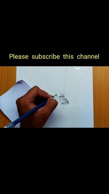 kudu antelope animal drawing || antelope animal drawing || wild animal drawing || #shorts смотреть онлайн