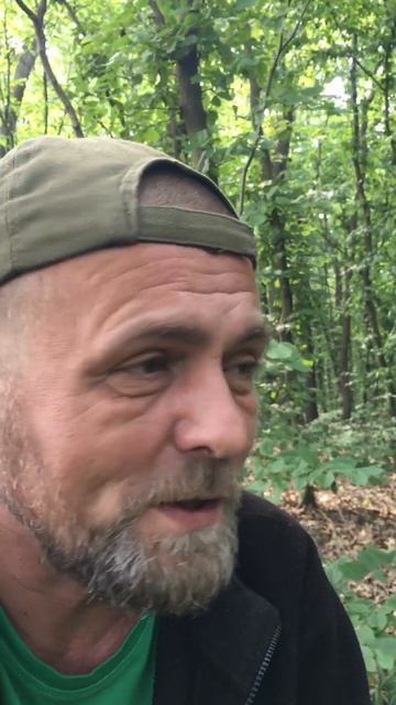 ГРИБЫ ПОШЛИ ВСЕ!.Только чтобы корзины хватило!