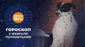 Гороскоп на 3 февраля. Доброе утро. Фрагмент выпуска от 03.02.2025