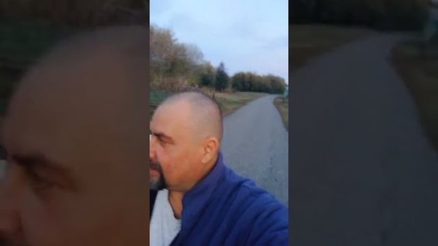 Первая будущая корова! смотреть онлайн