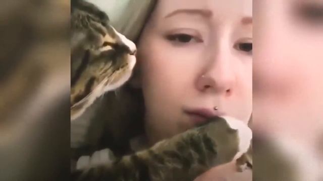 Прикольные Животные Смех до Слез Лучшее за Май-Funny cats and Animals Best of May 2019 смотреть онлайн