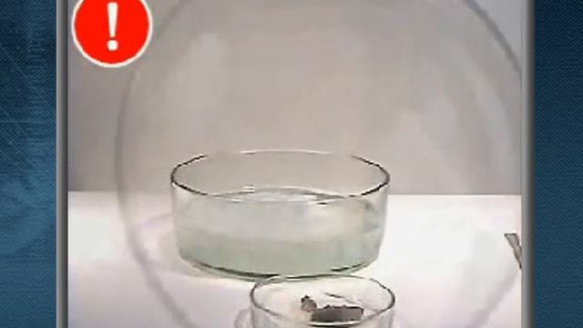 18. I A qrup element смотреть онлайн