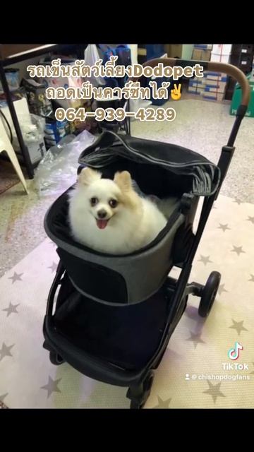 รถเข็นสัตว์เลี้ยง dodopet ถอดเป็นคาร์ซีทได้ ✌️ смотреть онлайн