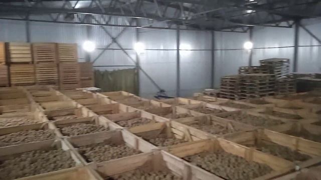 VID 20230113 105603 смотреть онлайн