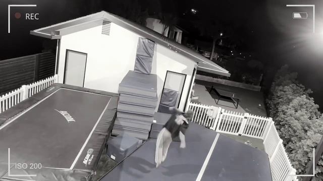 Security cam footage (PASHATHEBOSS￼) смотреть онлайн