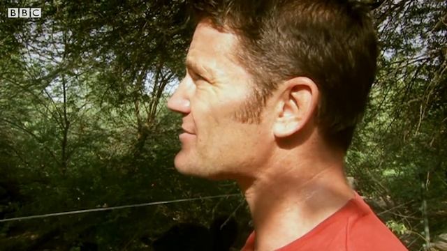 Deadly Sloth Bears Fight over Food | Deadly 60 | BBC Earth Explore смотреть онлайн