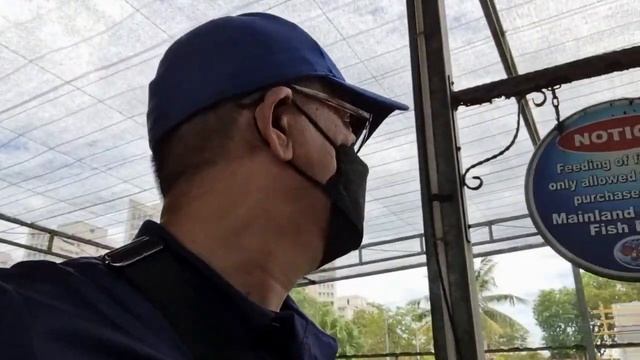 VISIT THE TWO BIGGEST FISH FARM OF PASIR RIS | HUGE TILAPA ARUANA AND ARAPAIMA | PINOY IN SINGAPORE смотреть онлайн