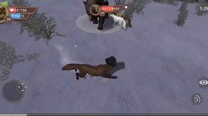 как победить гигантского медведя в WildCraft