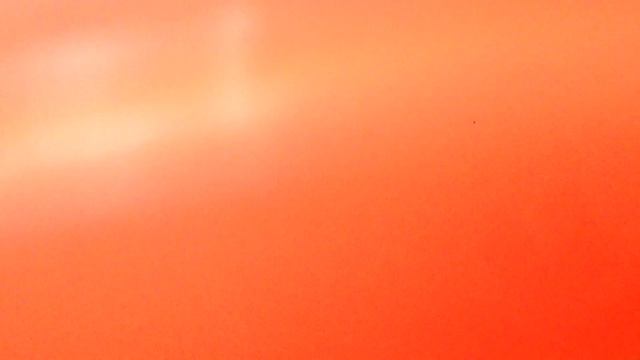 Я ПОСТРОИЛ ШАЛАШ!!! смотреть онлайн