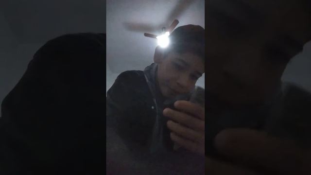 mostrando todas as minhas figurinhas 😍😍😍 смотреть онлайн