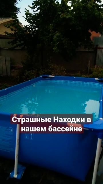 Страшные находки в нашем бассейне смотреть онлайн