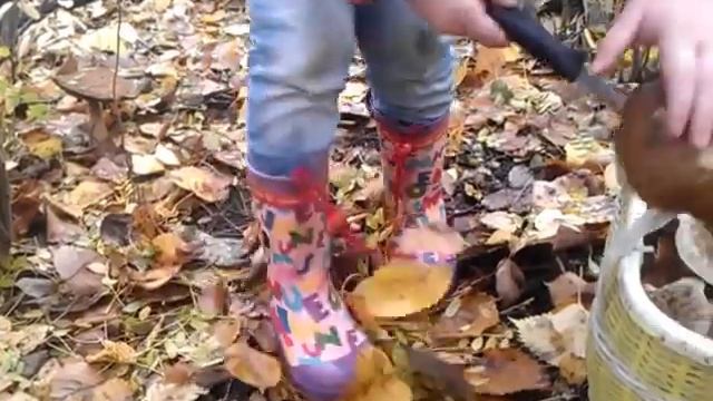 Варечка первый раз собирает грибы)) смотреть онлайн