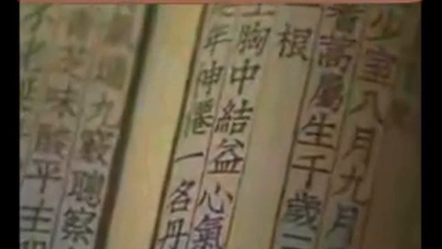 Ганодерма гриб Лейнжи Mp4