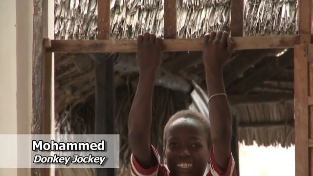 DONKEYMENTARY. Lamu. Kenya. 4 min o DEMO HD смотреть онлайн