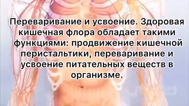 ОЧИСТКА ЖКТ "ЧАНТУН" смотреть онлайн
