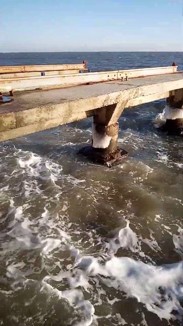 Ледяные грибы на море мороза