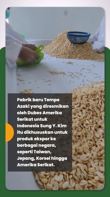 PRODUKSI TEMPE TERBAIK смотреть онлайн
