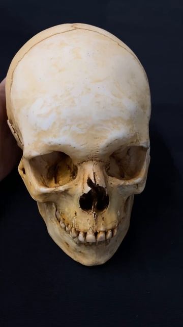 Сделали череп как настоящий💀 Made a real skull смотреть онлайн