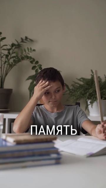 Оливковое масло из Турции instagram/ibrahim_aile_ Подписывайся смотреть онлайн