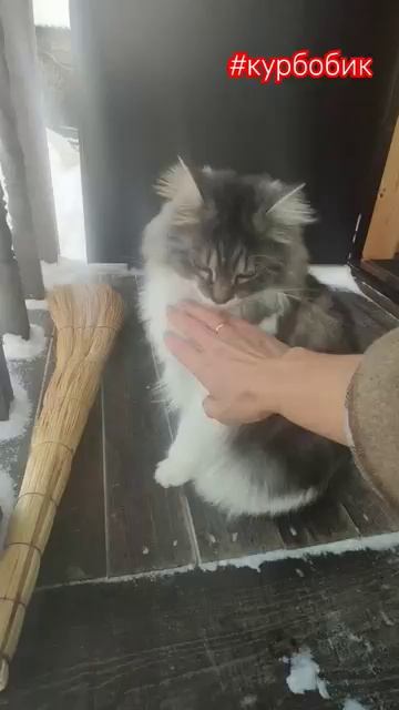 Семён на даче.