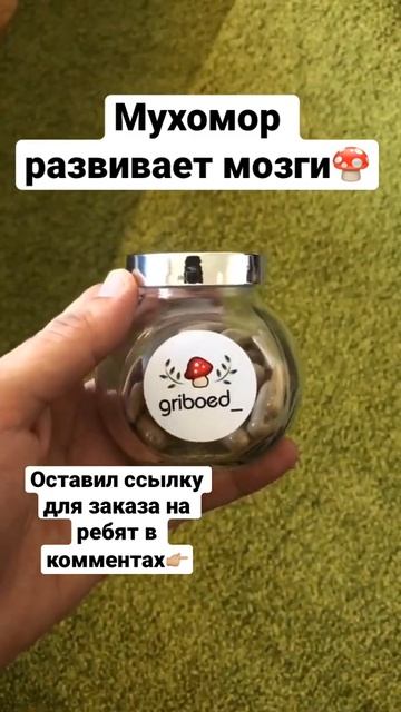 #мухомор #ежовик #народнаямедицина #мозги #саморазвитие #силаволи #микродозинг #здоровье смотреть онлайн