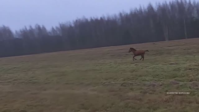 Над полем с солонцом смотреть онлайн