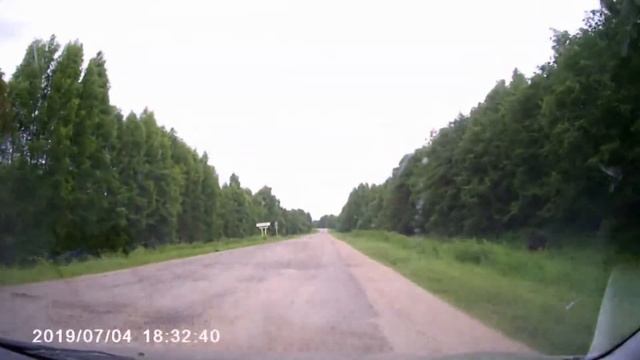 Лось! смотреть онлайн