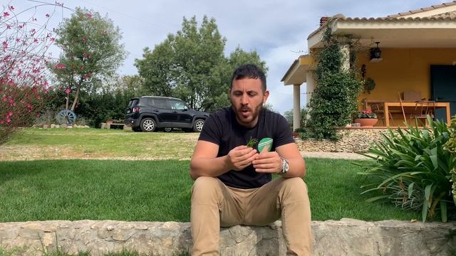 La Poa Annua - Una Delle Peggiori Infestanti Del Prato