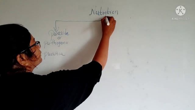 #Fungi @Biological Classification смотреть онлайн