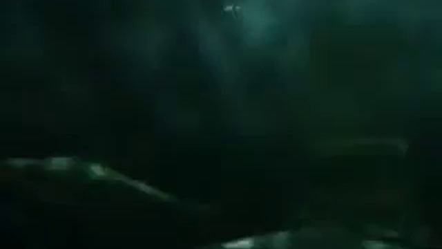 sharks смотреть онлайн