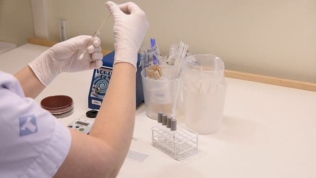 1. Preparation of inoculum (Russian) смотреть онлайн