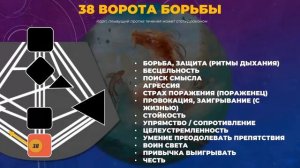 ПРОФЕССИИ 38 ВОРОТ БОРЬБЫ || Дизайн Человека || Лившиц Лев