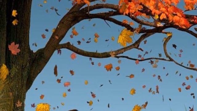 ОСЕННИЕ ВЕРЛИБРЫ АРВО МЕТСА смотреть онлайн