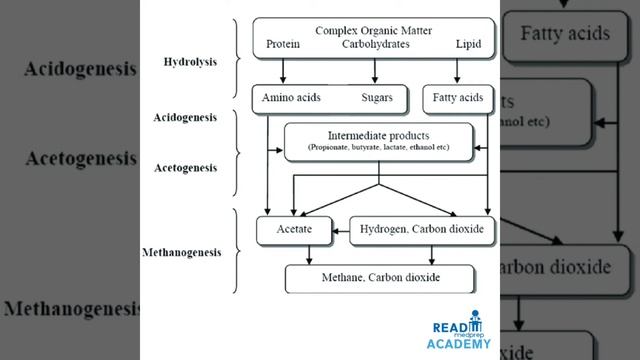 #MICROBES IN HUMAN WELFARE-PART-III - #SEWAGE TREATMENT-#ENERGY GENERATION-#BIOGAS -#BIOREMEDIATION