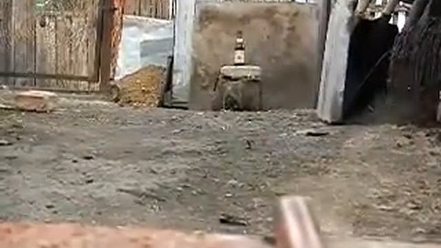Стреляем из медной трубки