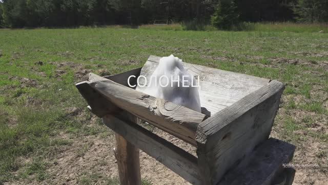 На солонце смотреть онлайн