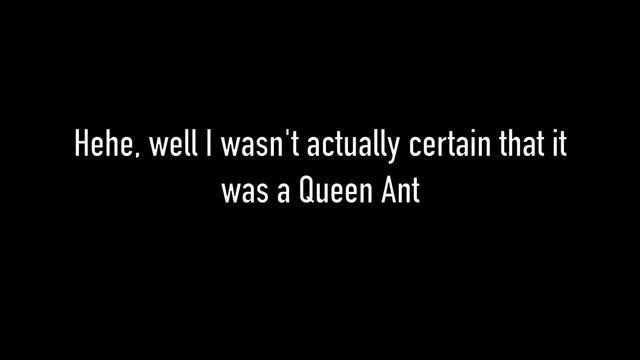 Ant Update: Bad News About My Queen Ant смотреть онлайн