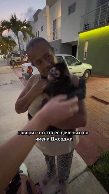 А еще в домах у нас живут гекконы, а во дворах летучие мыши 🦇 смотреть онлайн