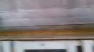 БАКИНСКИЕ ВЫСОКОЛЁТНЫЕ БОЙНЫЕ ГОЛУБИ