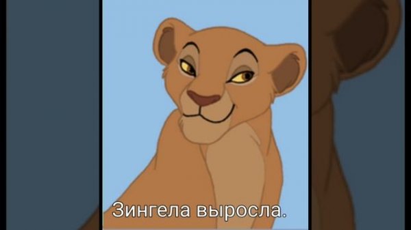 История Зингелы (моя версия)