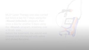 Apple, dog with thrombophlebitis