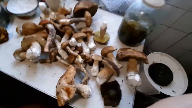 грибы есть. смотреть онлайн