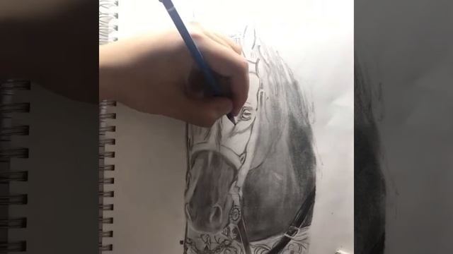 Drawing a Horse - Timelapse | DKC ART смотреть онлайн