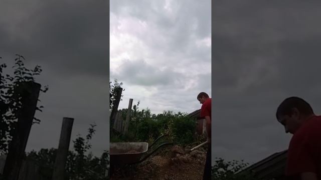 Чак Норис смотреть онлайн
