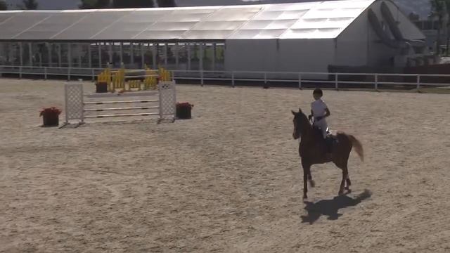 LINZ DU THOT - Kate Gygaz - Bronze 4 - 1,40m - Valencia (25.10.2014) смотреть онлайн