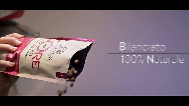 Wellness CORE - Cibo Secco Per Gatti Sterilizzati - Salmone | mypetMall.net смотреть онлайн