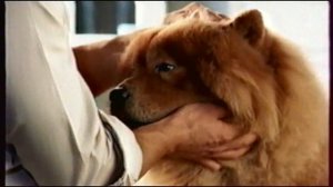 Реклама и анонс "Мой серебряный шар" (Россия, 21.04.2007)